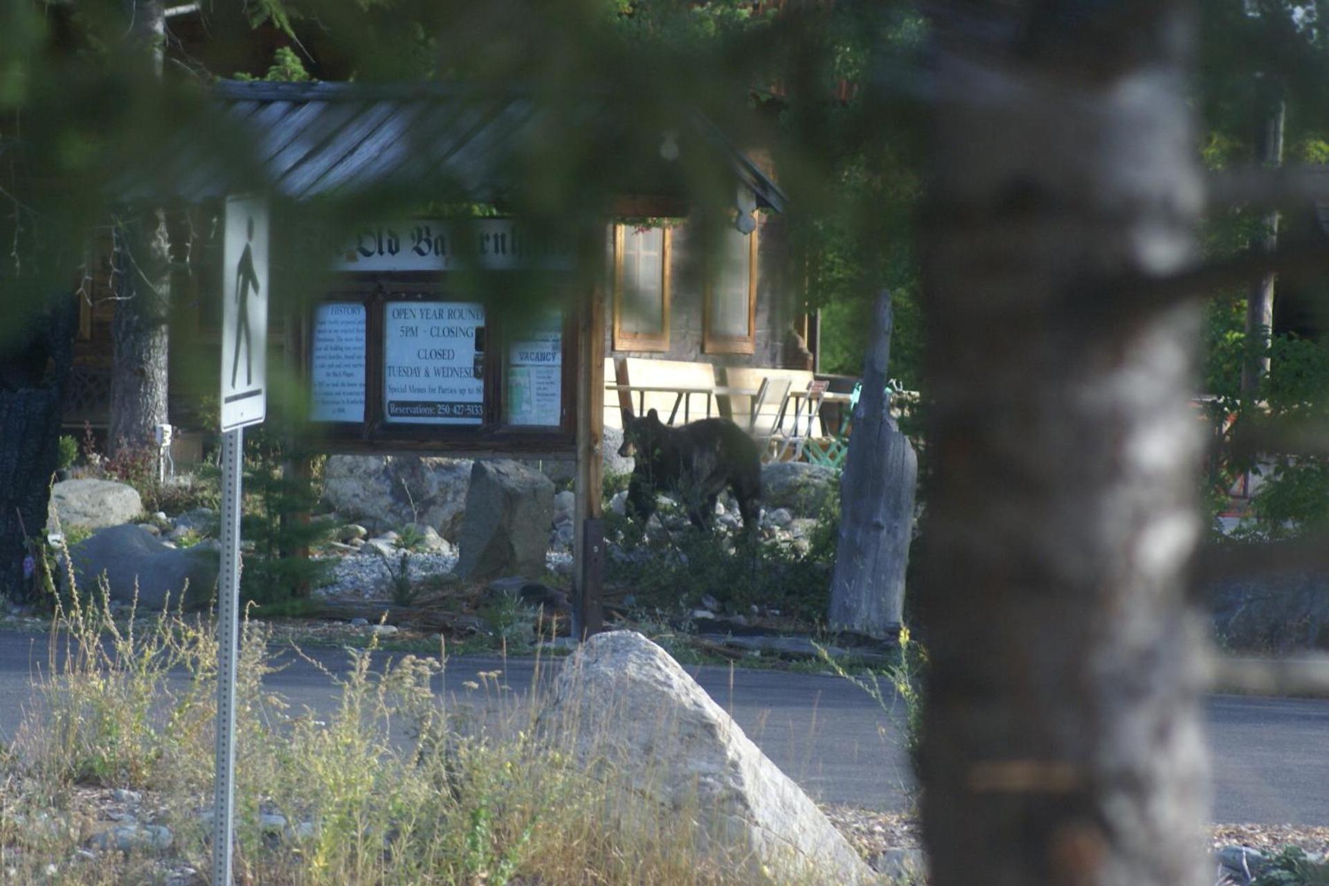 Alpenglow Bed And Breakfast Kimberley Buitenkant foto