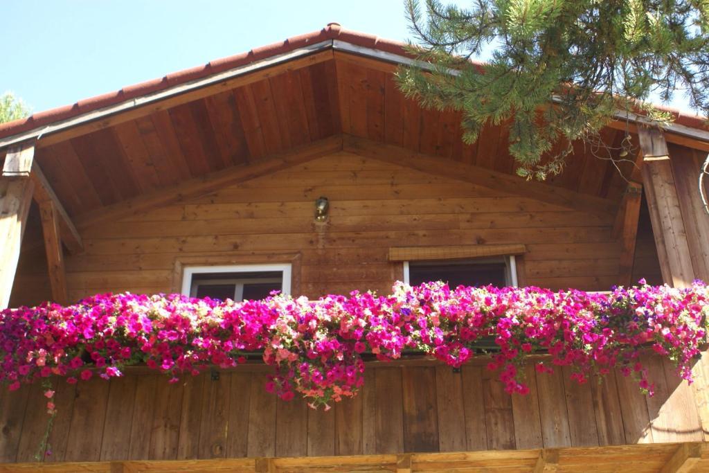 Alpenglow Bed And Breakfast Kimberley Kamer foto